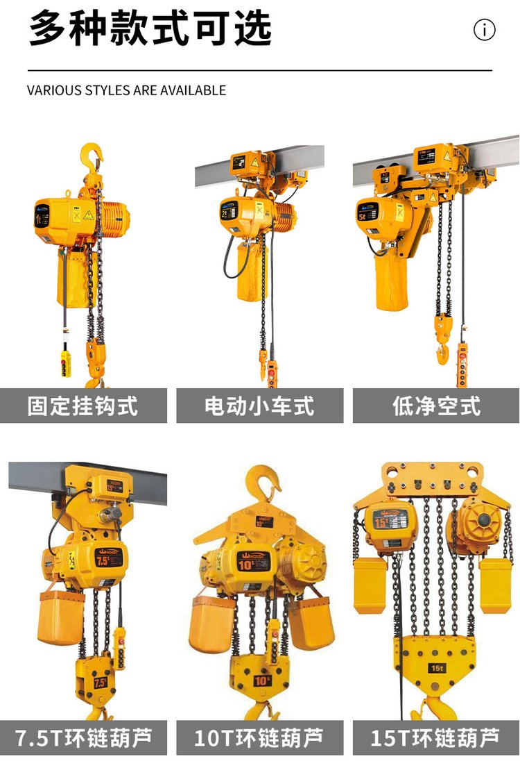 2T變頻雙速電動(dòng)葫蘆-3.jpg